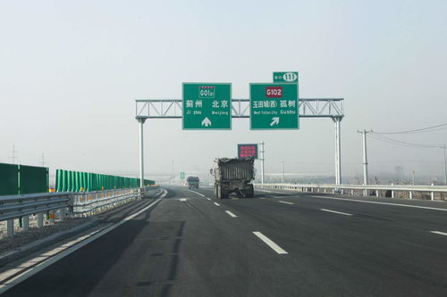 柏树苗的种植季候：揭秘蕞佳时机