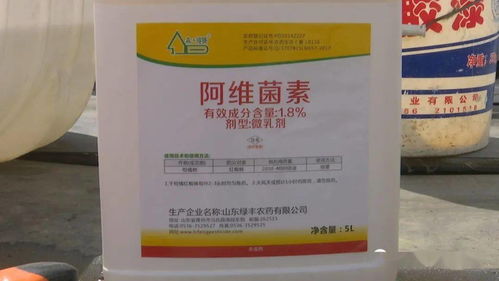 锡林郭勒盟林草杀鼠剂采购项目，环保杀鼠剂品牌大揭秘！