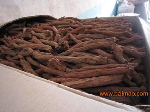 丹参种植时间及种子繁植方法