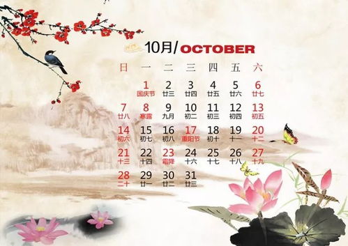 杨梅喜阴喜阳，生长秘诀大揭秘！