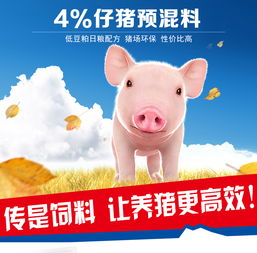 仔猪预混料是否适合喂大猪？哪种预混料更适合大猪喂养？