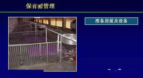 仔猪保育栏升级版：优化通风