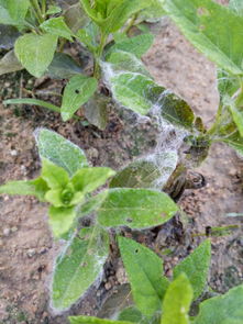 温度舒适，环境重要