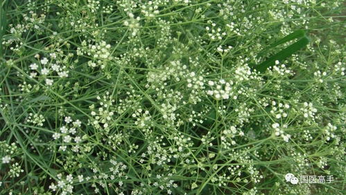 南北种植时间差出45天你get了吗？