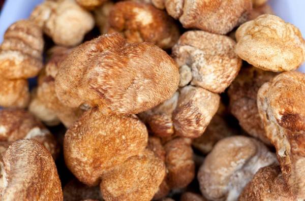 猴头菇：素中荤的美味