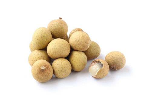 桂圆籽种植：温暖湿润， 阳光充足