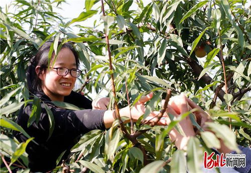 效益分析， 杠杠的