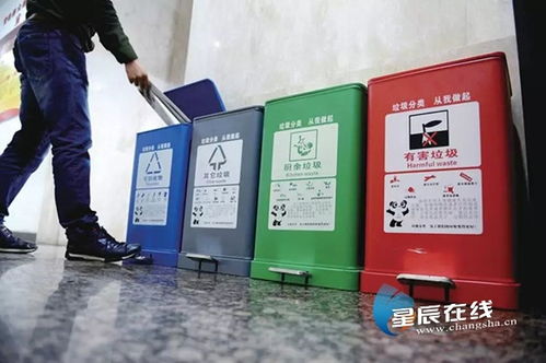 分类投放， 不能马虎