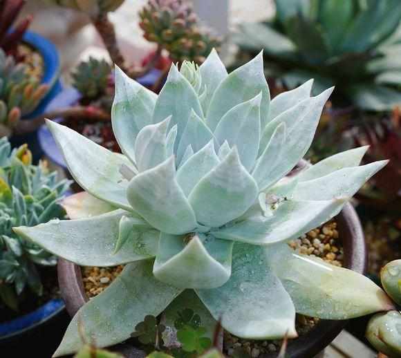 再说说说个实用技巧