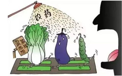 黄瓜的农药使用