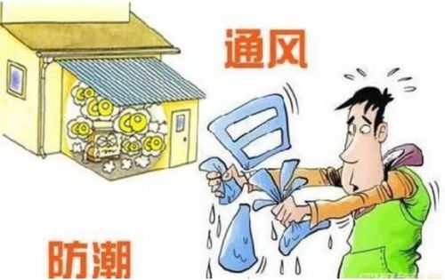 人误食除草剂多久后对健康无影响？注意事项有哪些？