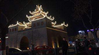 太原迎泽区青年路边的奇树之谜