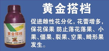 番茄青枯病，防范为主
