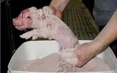 科学监控，合理调配