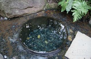 井水的秘密：钙镁元素的高手