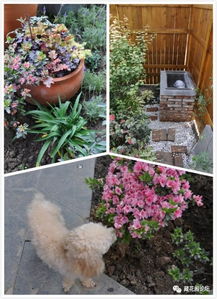 环境要求，咱得kankan