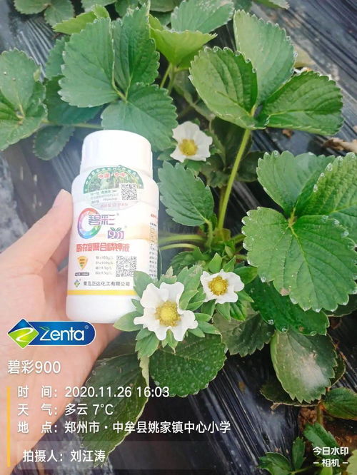 选择合适的使用时间