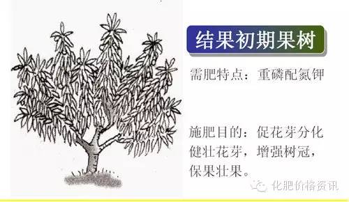 丙环唑的神奇功效