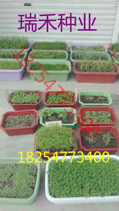 四、 杭州钱江新城的实测数据