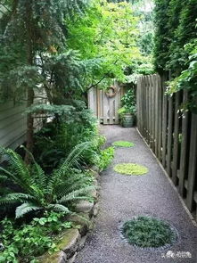 海韭菜的海洋魅力