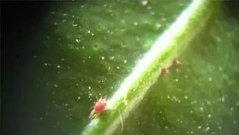 注意事项， 不可忽视