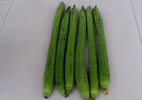 丝瓜种子富含营养，究竟有哪些独特食用方法