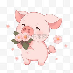 跑花小猪的，都是哪些高手