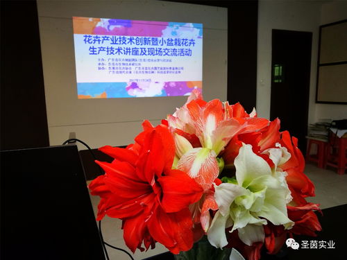 花卉界的盛事：世界花卉大会