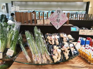 网上商城的另一种选择