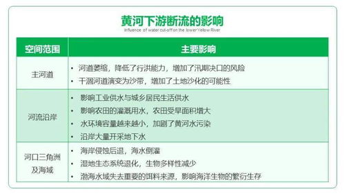 报名流程和条件大揭秘