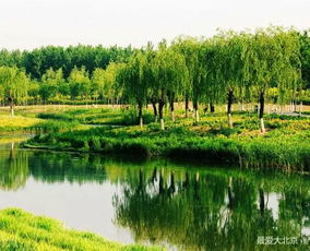 了解周边植被，保留现有资源