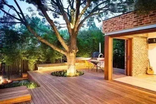 一池三山：皇家园林的祈寿之愿