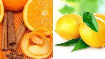 桔子树涂白墙杀虫剂攻略