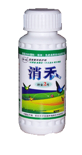 乙草胺：禾本科杂草的克星