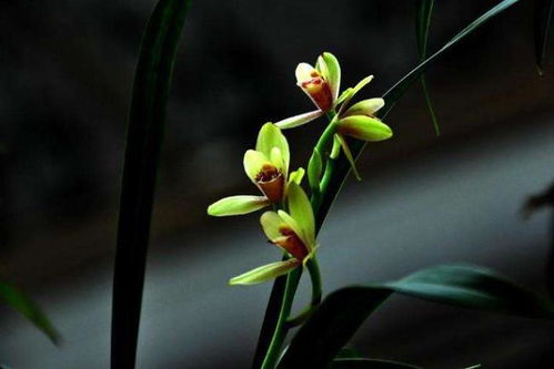 构图心机五连招：手机党必学技巧