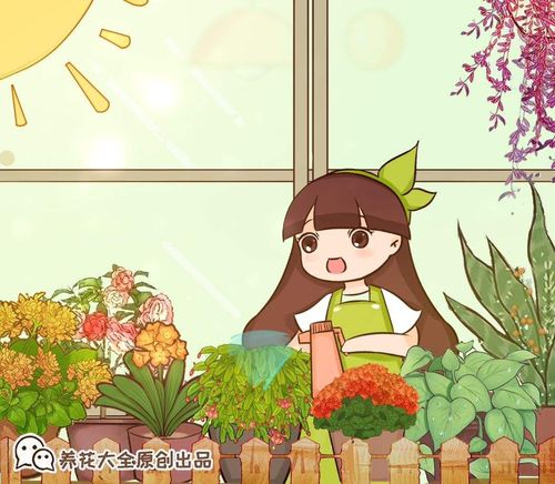 熊童子浇水时间和小熊孩子的浇水时刻有什么不同