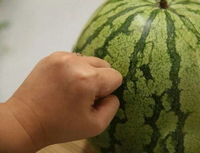 蒜叶锈斑，怎么分辨？