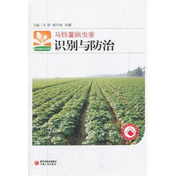 实验原理大揭秘