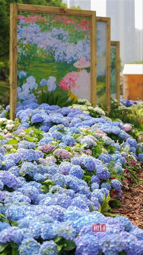 花卉种类众多， 习性各异