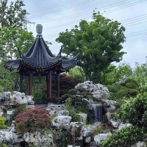 自然生态：与自然和谐共处