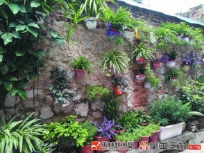 辽宁室外种植花木的选择指南