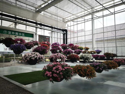 人与自然的对话场