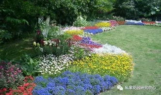 1. 矾根：多彩的叶子， 四季常青