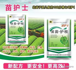 拌种不是一蹴而就：