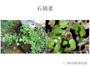 阳光和阴凉，刚刚好