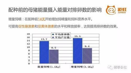 高产母猪弱仔率攀升，深层成因与调控策略是什么？