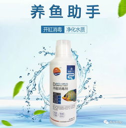 鱼缸里的水变白了怎么办啊？