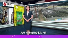 2020年市场牛蛙价格是多少一斤