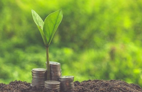 三周收籽真的可嫩吗？让我们一起来验证！