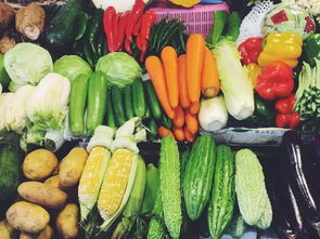 本轮肉蛋菜价格下降的主要原因